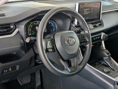 2025 Toyota RAV4 HYBRID Hybrid XLE
