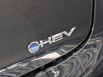 2023 Toyota Prius XLE