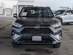 2023 Toyota RAV4 Hybrid Hybrid XLE Premium