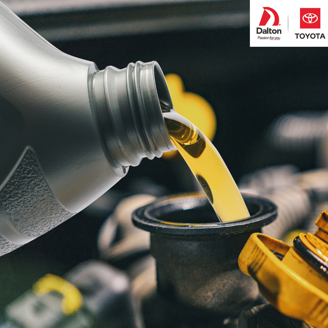 Synthetic Oil Change 0W20/0W16 with Tire Rotation