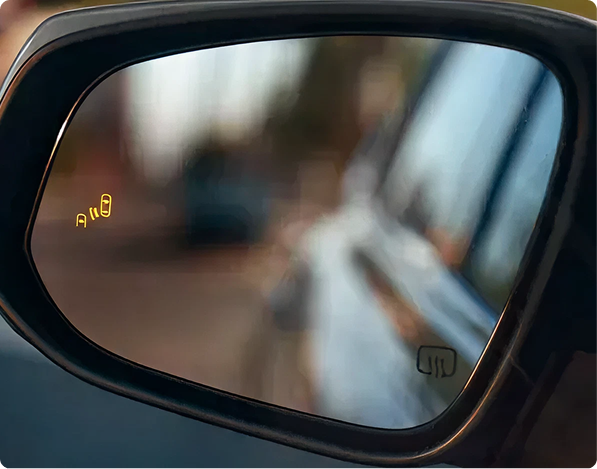 Blind Spot Monitor
