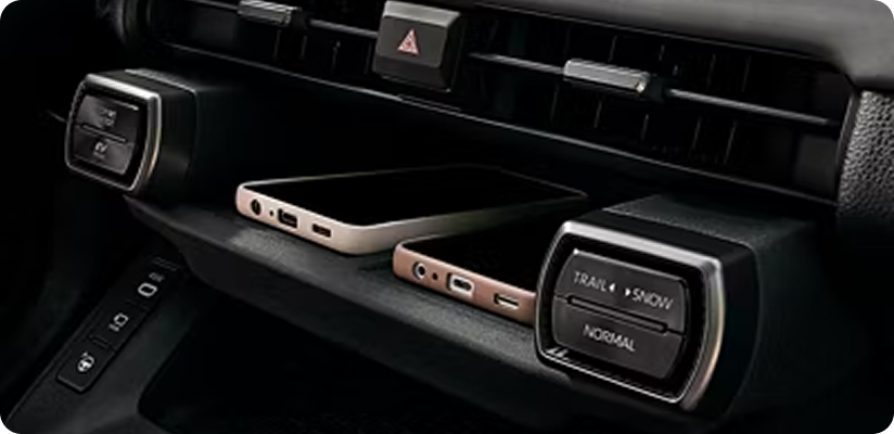 Dual Qi Wireless Chargers