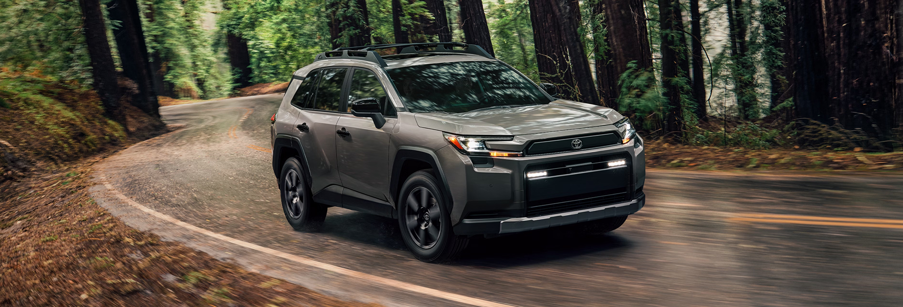 RAV4 Woodland exterior