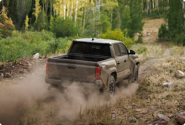 Multi-Link Rear Suspension