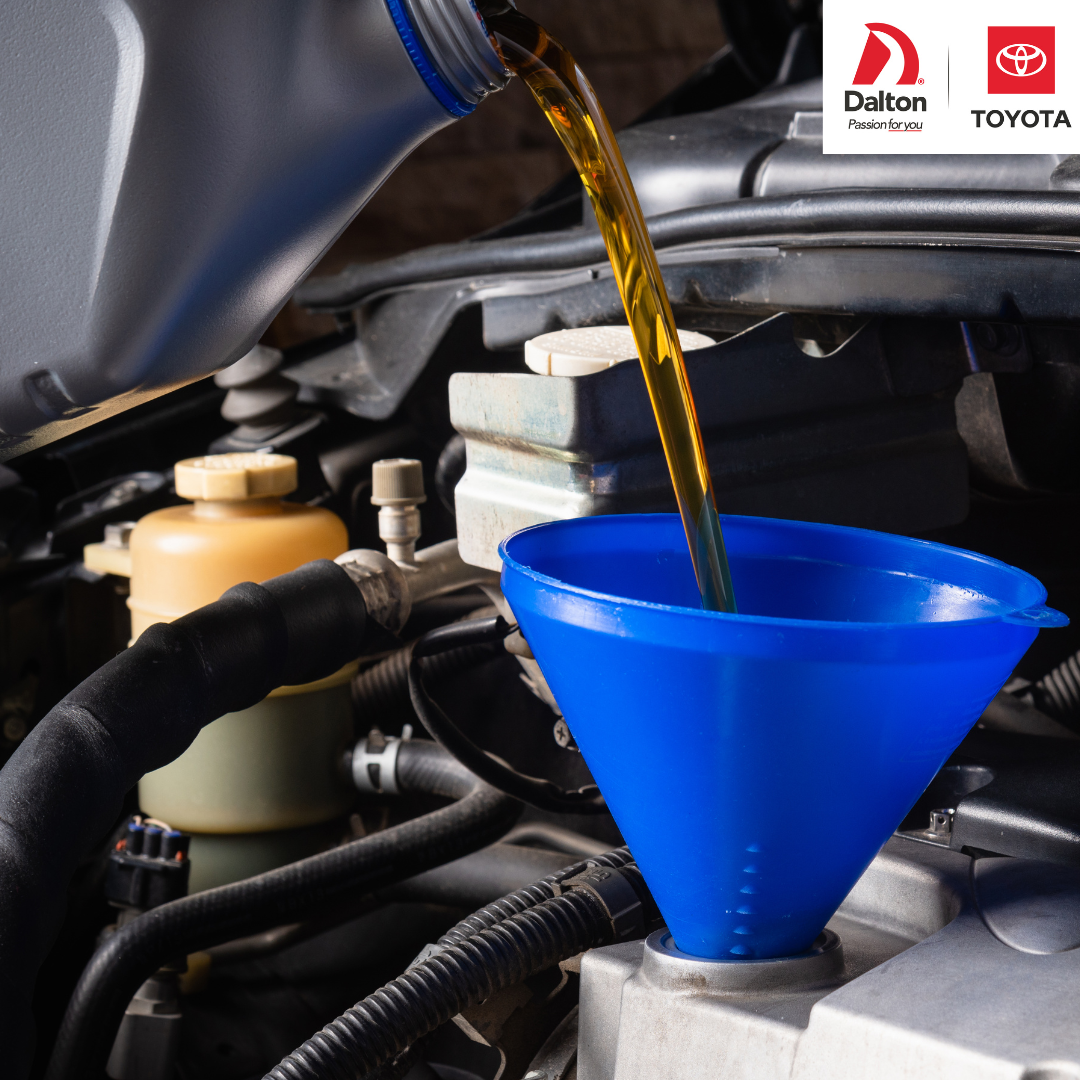 Conventional Oil Change 5W30 with Tire Rotation