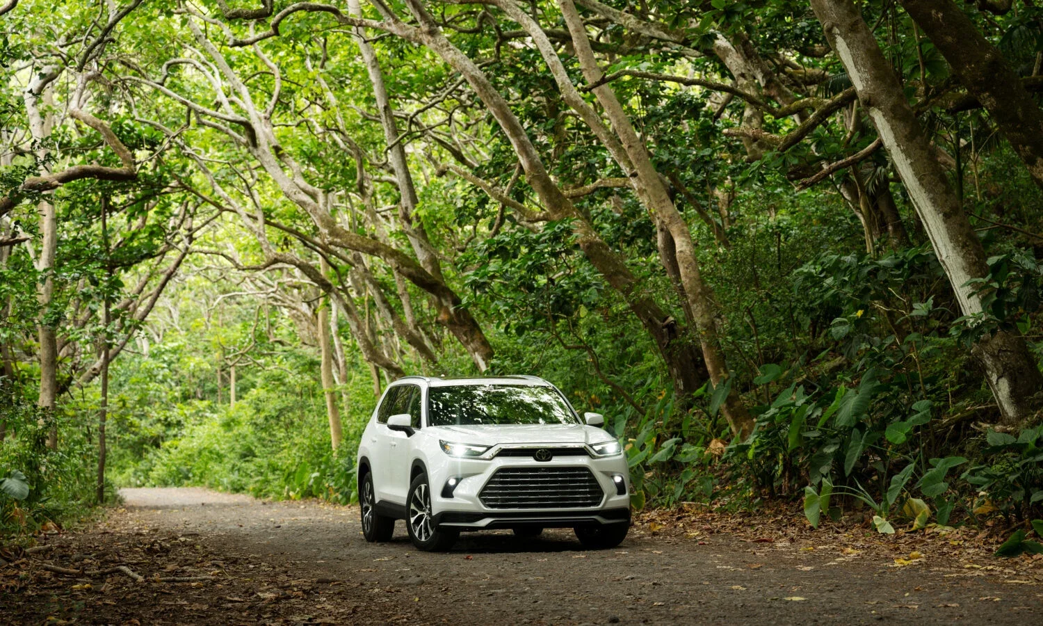 2026 Toyota Grand Highlander Limited in Wind Chill Pearl white on a tree-lined road — trims we compare at Dalton Toyota National City